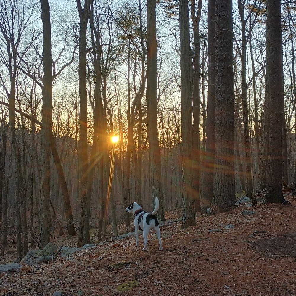 Meet your Posher, Misha